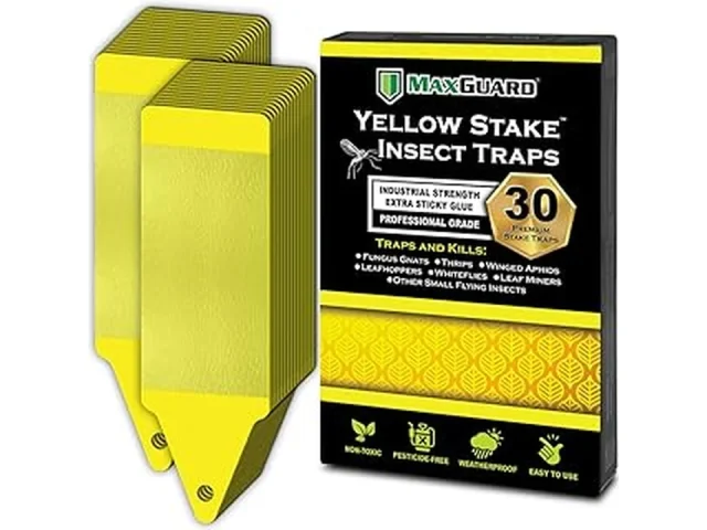 Top 5 Best Sticky Traps for Garden Pest Control in Florida