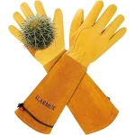 The image shows a variety of thorn proof gardening gloves perfect for handling roses.