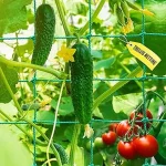The image shows durable trellis netting supporting healthy, climbing pea and bean plants in a garden.