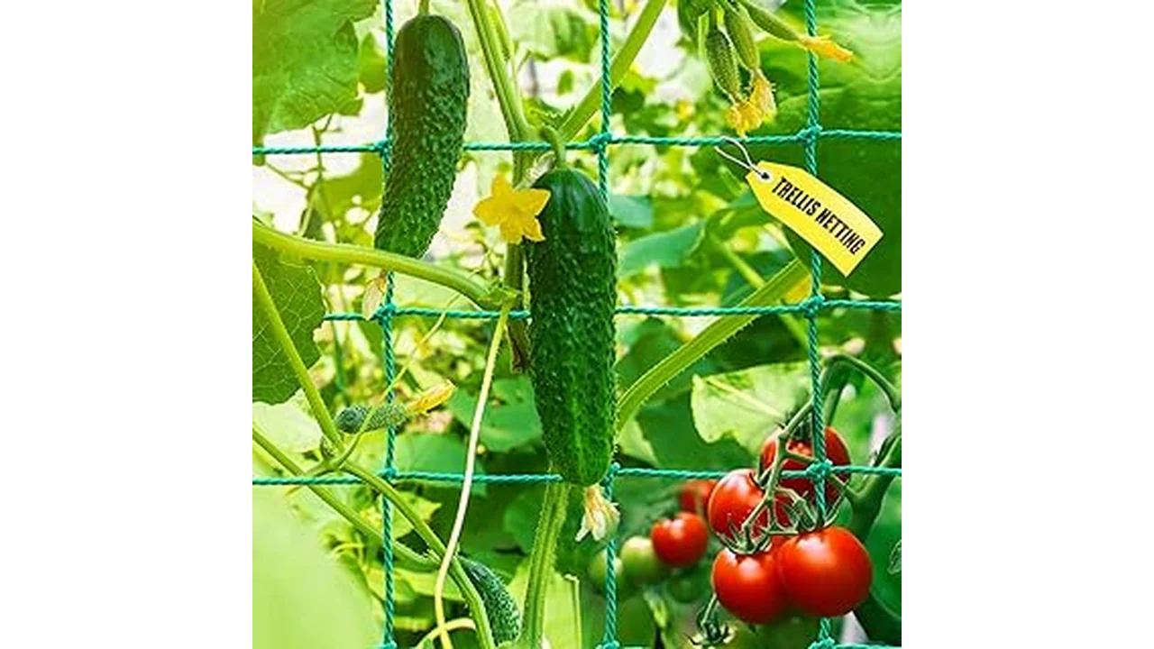 The image shows durable trellis netting supporting healthy, climbing pea and bean plants in a garden.