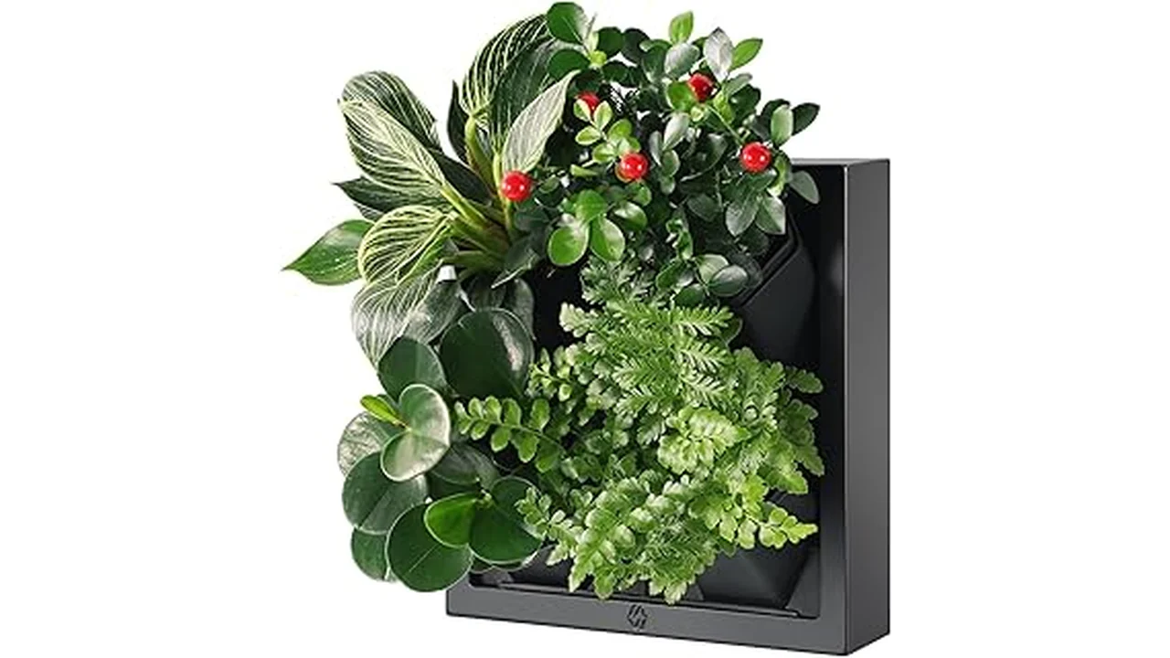 The image shows a green wall garden planter with multiple pocket slots holding various plants.