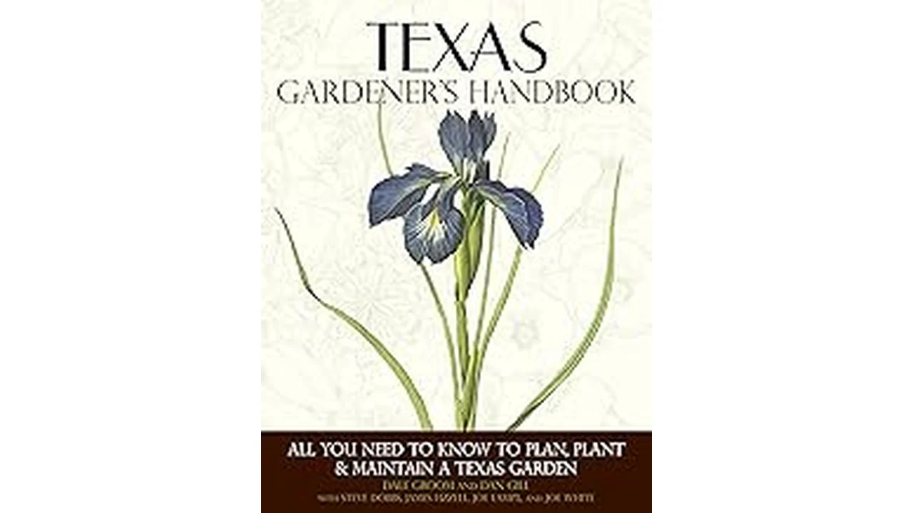 The image shows a collection of beautiful, easy-care houseplants perfect for a Texas home.