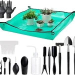 The image shows a collection of small, easy-care succulent plants perfect for beginner indoor gardeners.