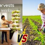 Farmstand Large Vs Farmers Cost California