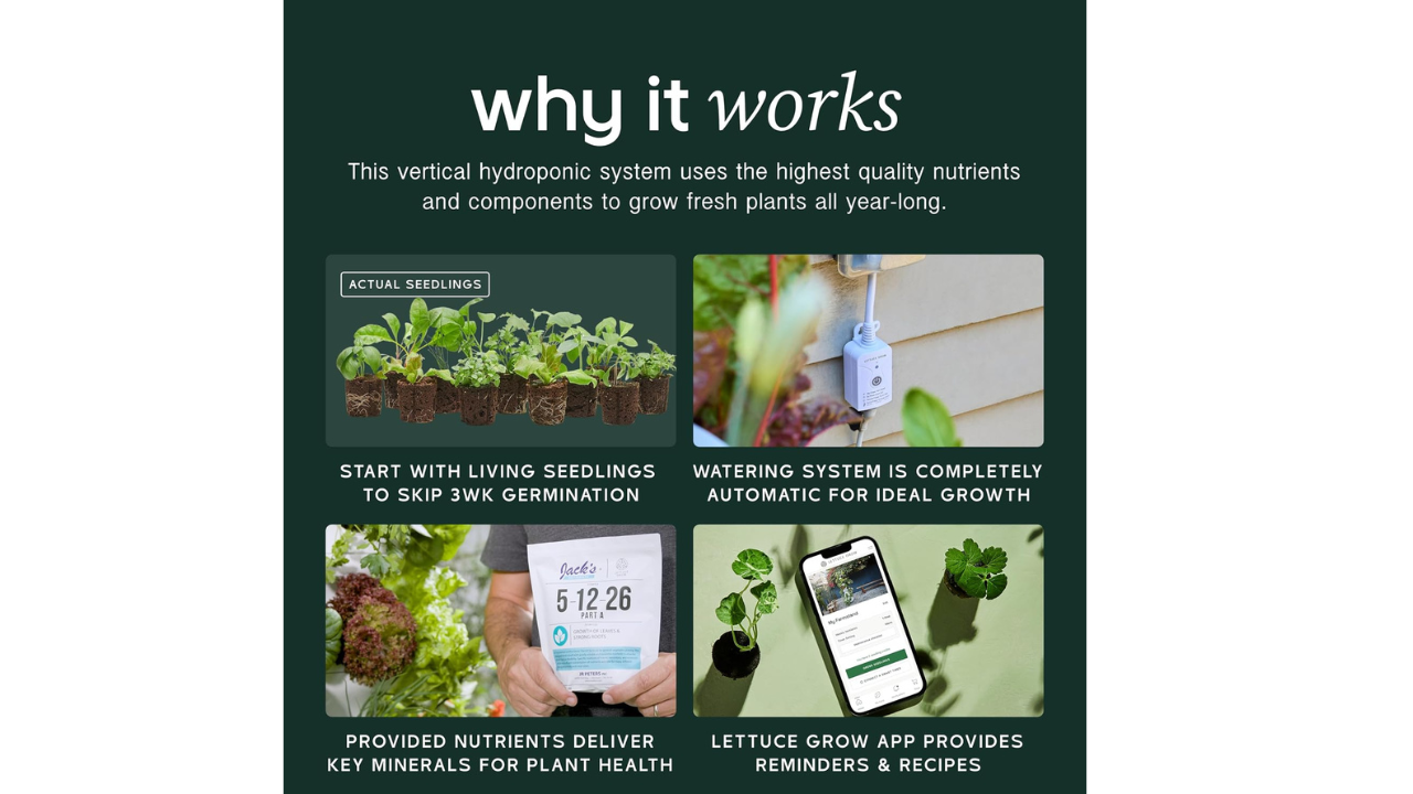 Farmstand Large Vs Farmers Cost California 2 Farmstand Large Vs Farmers Cost California
