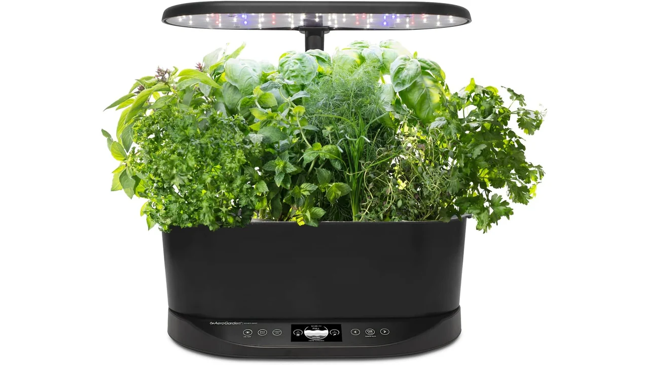 AirGarden Bounty Basic Black Indoor Garden Review