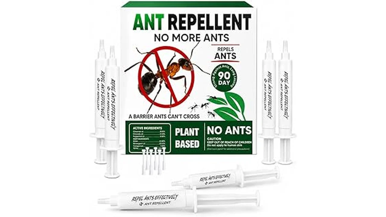 Best 10 Ant Spray Safe for Pets and Humans