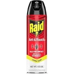 Best 10 Indoor Ant Spray Safe for Pets and Kids