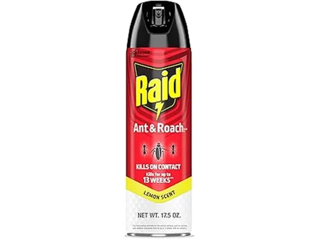 10 Best Indoor Ant Spray Safe for Pets and Kids Florida