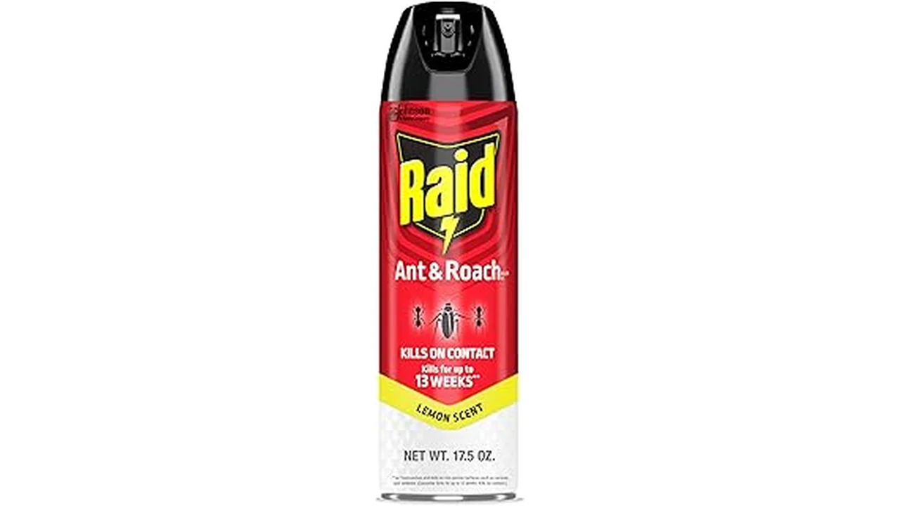 Best 10 Indoor Ant Spray Safe for Pets and Kids