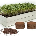 The image shows a selection of hydroponic microgreen trays ideal for beginners in a review.