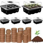 The image shows several reusable seed starting trays filled with young seedlings, perfect for vegetable gardening.