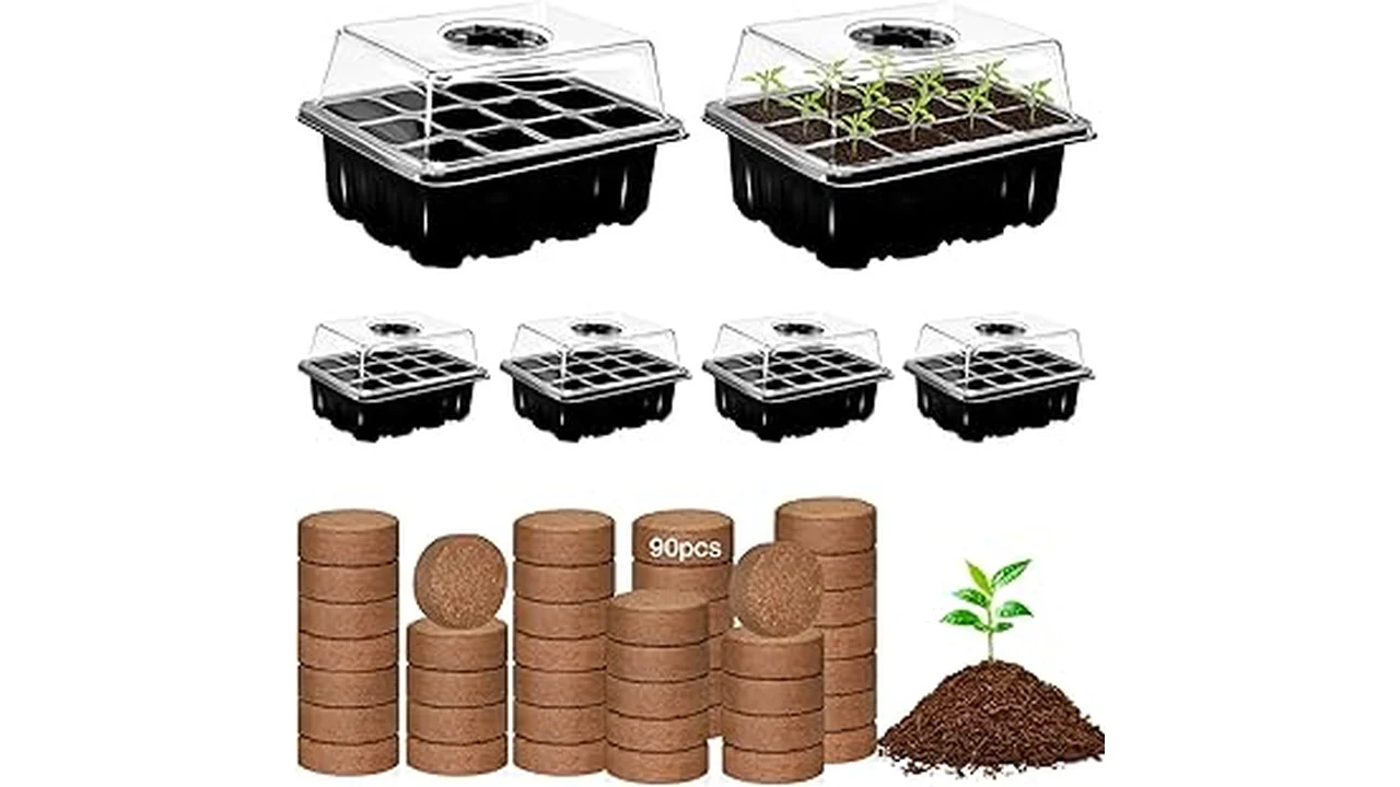 The image shows several reusable seed starting trays filled with young seedlings, perfect for vegetable gardening.