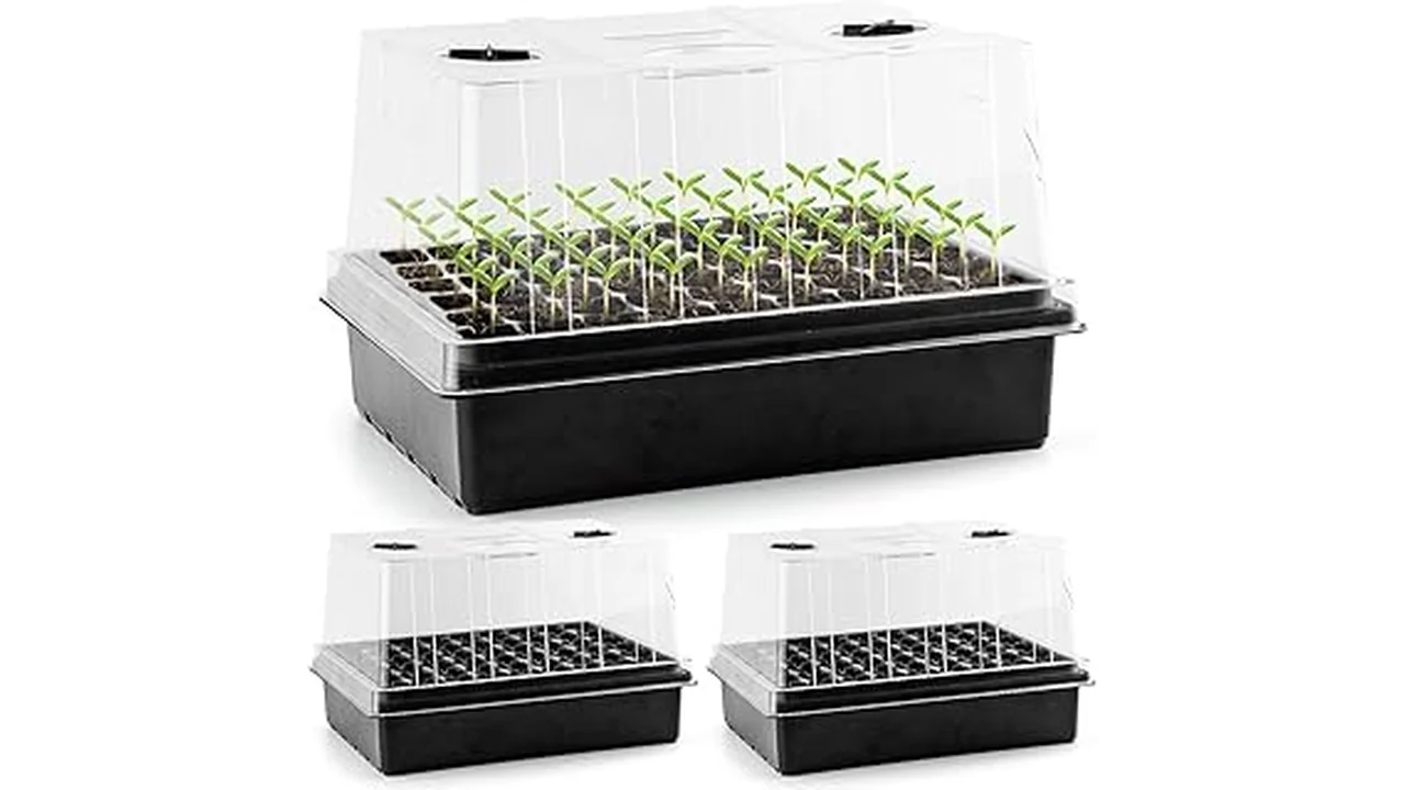 The image shows heavy-duty seed starting trays with clear domes, ideal for a review of the best 5.