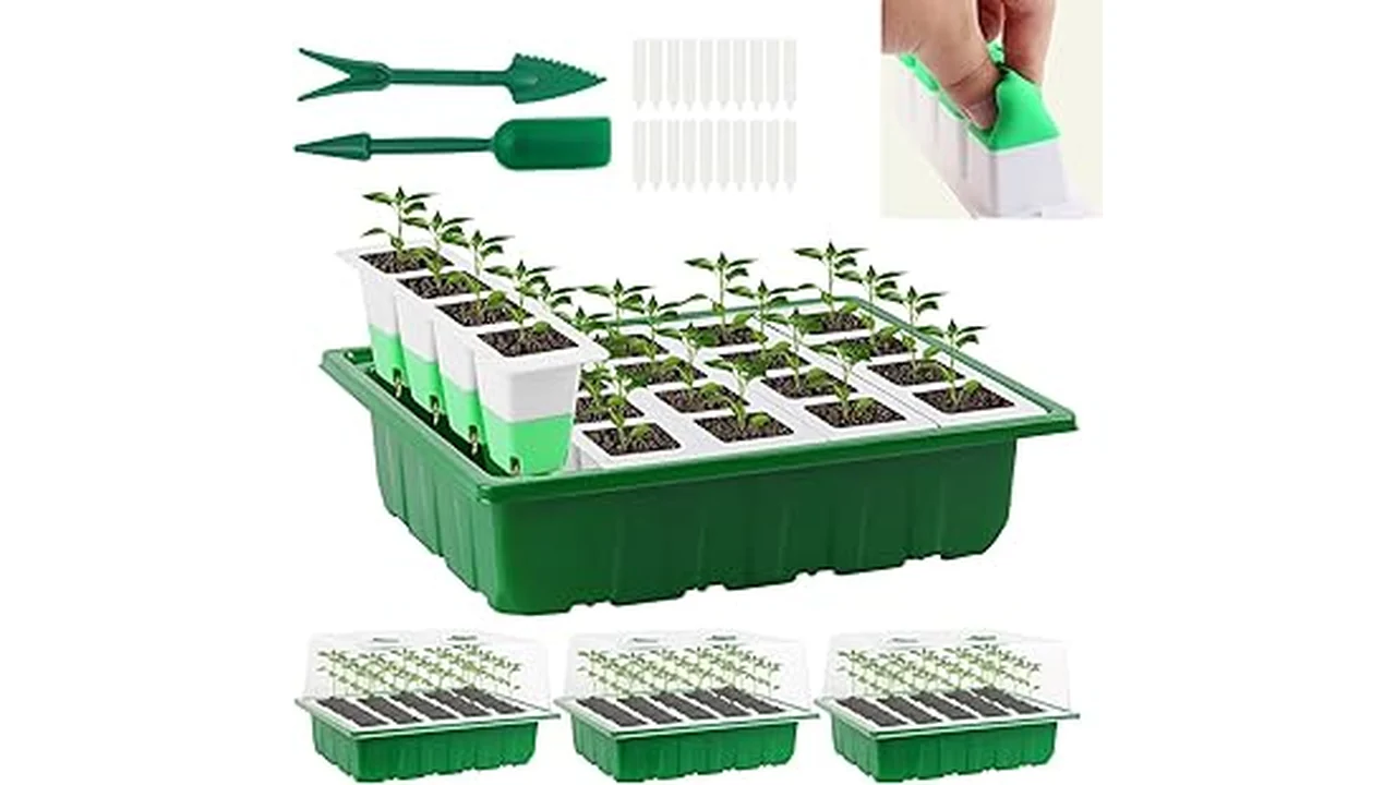 The image shows several reusable seed starting trays with clear domes, perfect for the Best 5 Reusable Seed Starting Trays With Dome Review.