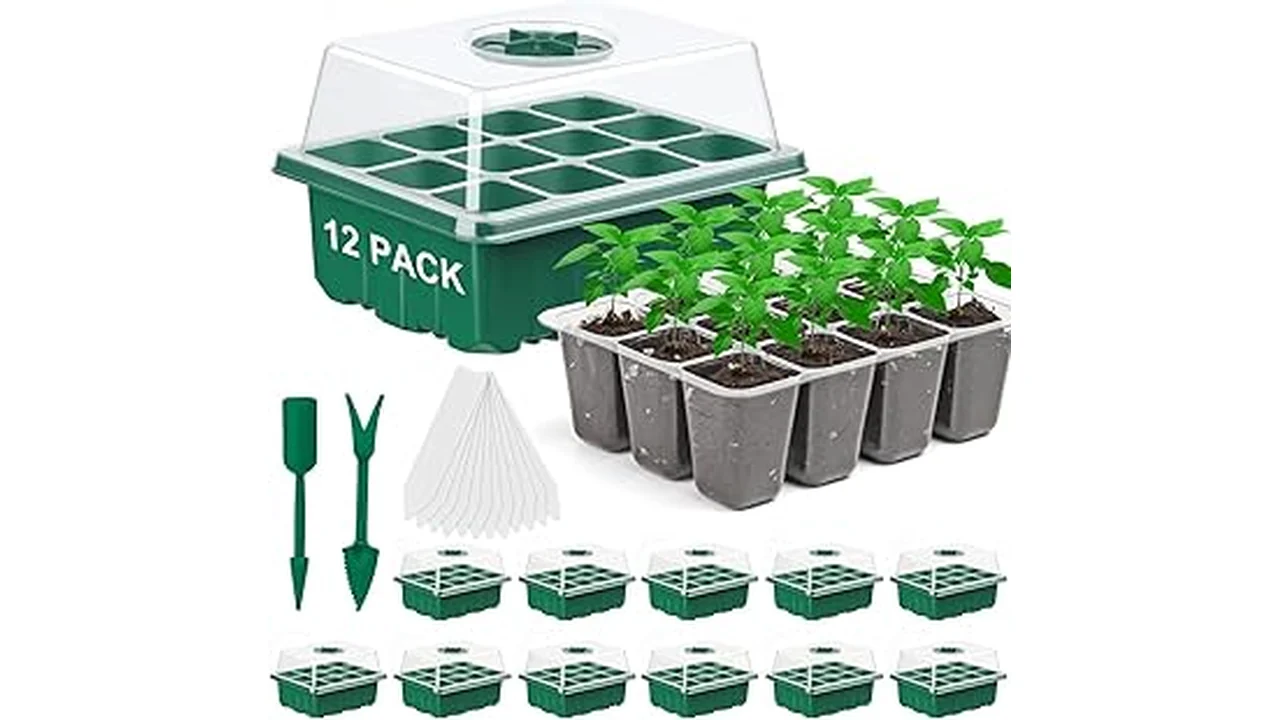 The image shows various seed germination trays with clear dome lids, perfect for starting seedlings.