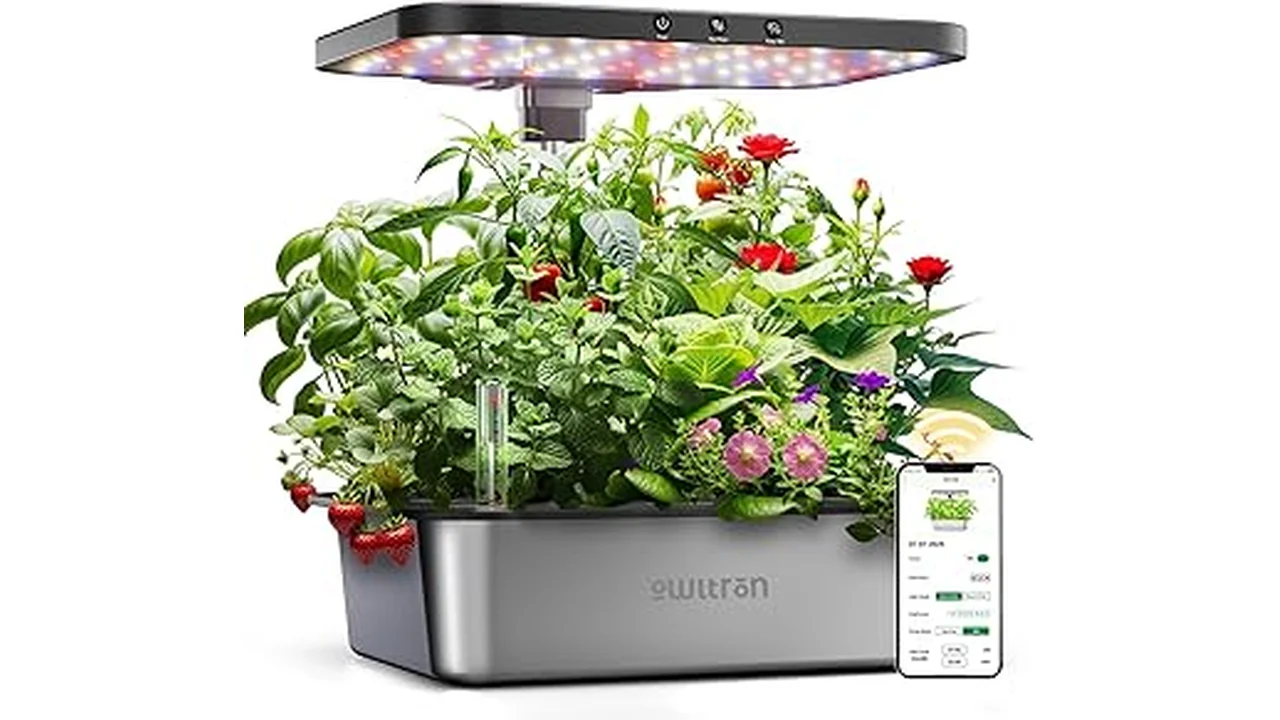 This image shows a sleek, modern hydroponic system growing healthy plants, representing a best-selling efficient setup.