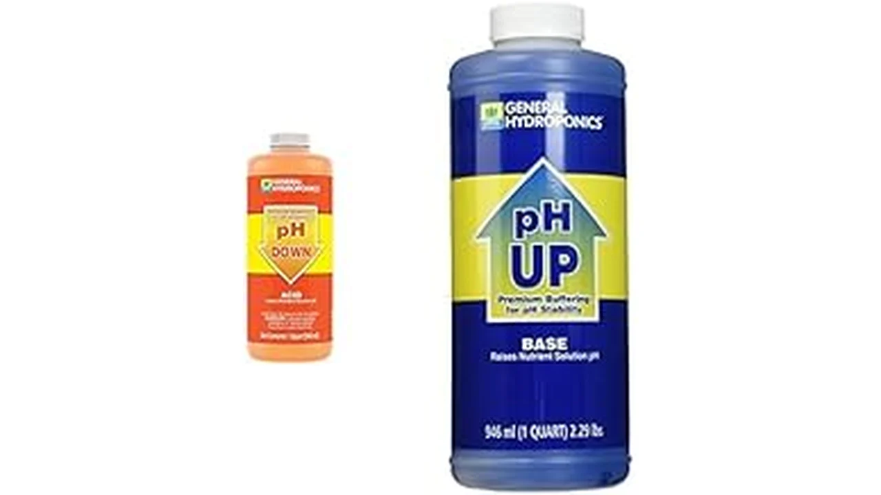 Top 1 6.0 Ph to 6.5ph Is Best for Hydroponics