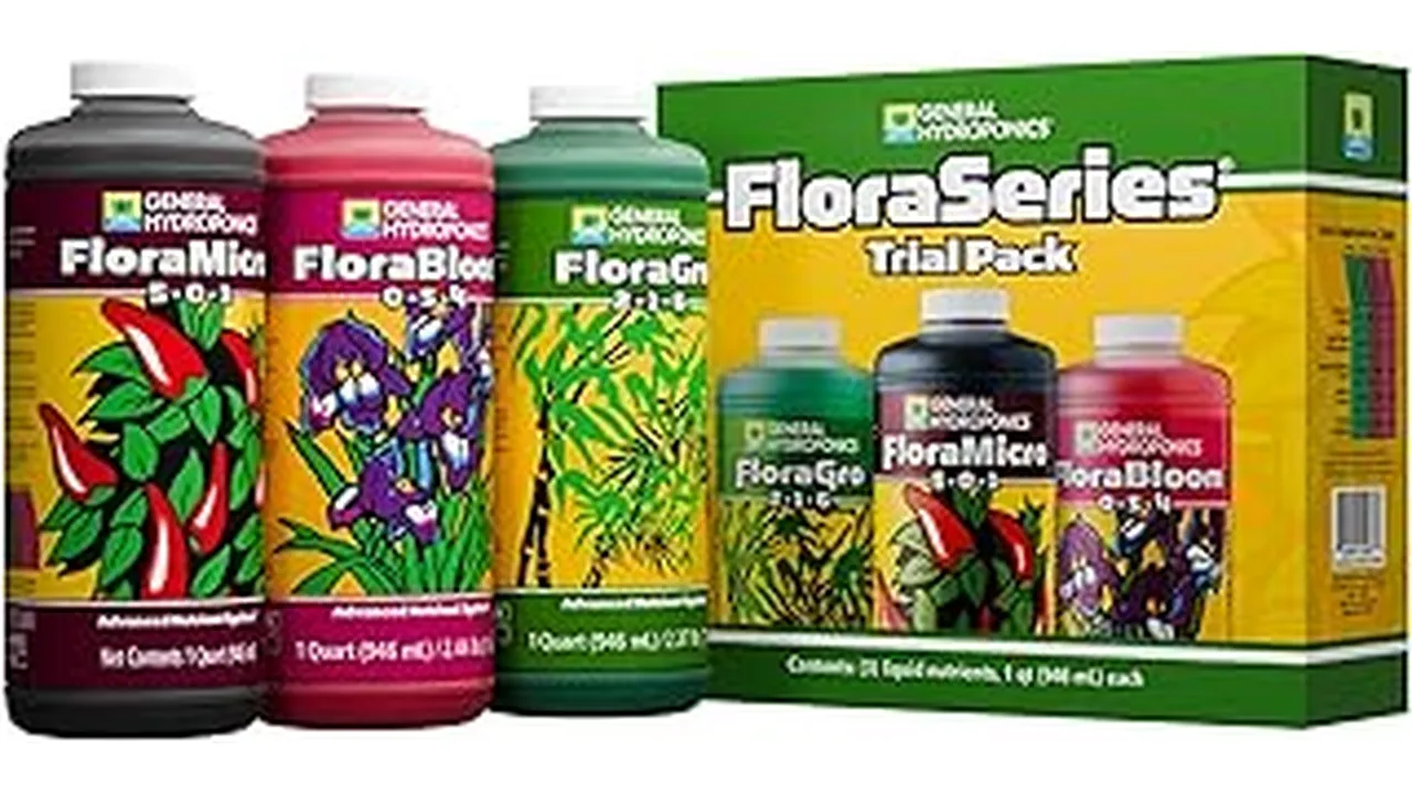 This image shows a healthy harvest of the top drought tolerant nutrient dense crop for aquaponics.