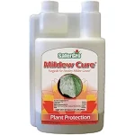 This image shows healthy green cannabis plants in a hydroponic system, ideal for stopping mildew.