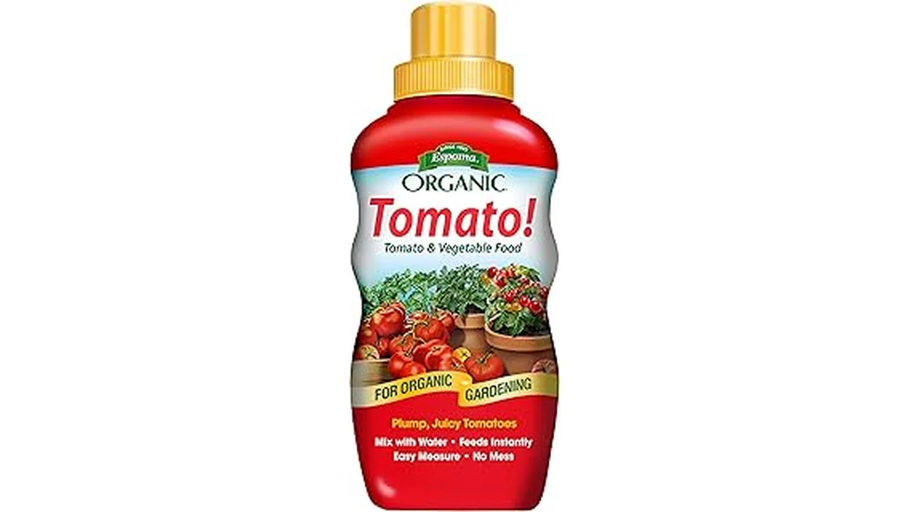 The image shows two vibrant tomato plants growing indoors with ripe red tomatoes, ideal for hydroponic gardening.