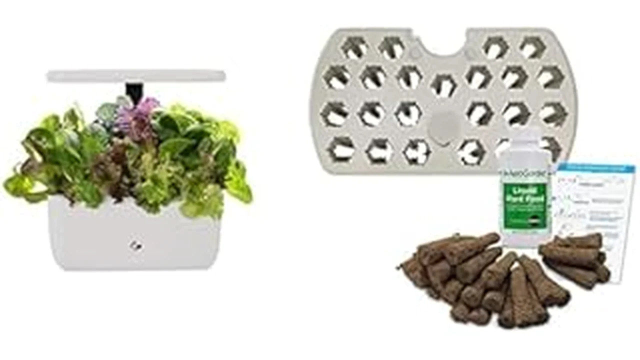 The image shows cannabis seeds germinating in a hydroponic starter tray, showcasing a top method.
