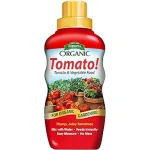 The image shows vibrant red determinate tomatoes growing in a hydroponic system.