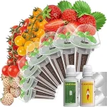 The image shows ripe strawberries growing hydroponically, suitable for the top 3 best varieties.