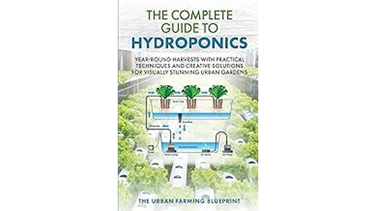 The image shows a lush hydroponic garden featuring the best crops for hydroponics from a top 4 list.