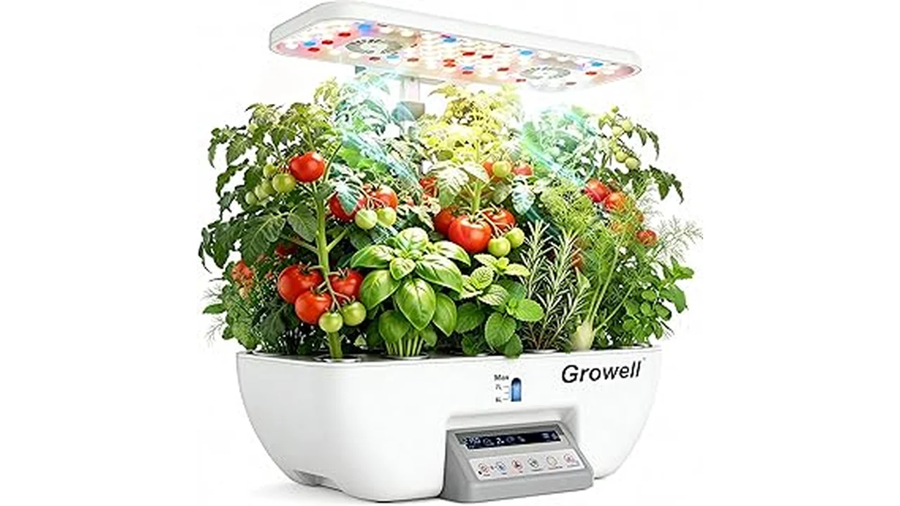 The image shows two different plant nutrient brands side-by-side for comparison in a gardening article.