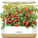 The image shows a lush hydroponic garden, showcasing the top five American hydroponics systems.