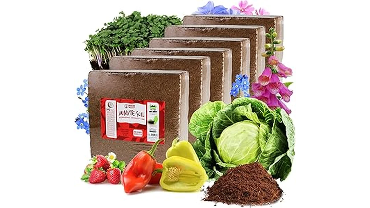 This image shows a selection of chunky coir bricks, ideal for hydroponic gardening and the top five best options.