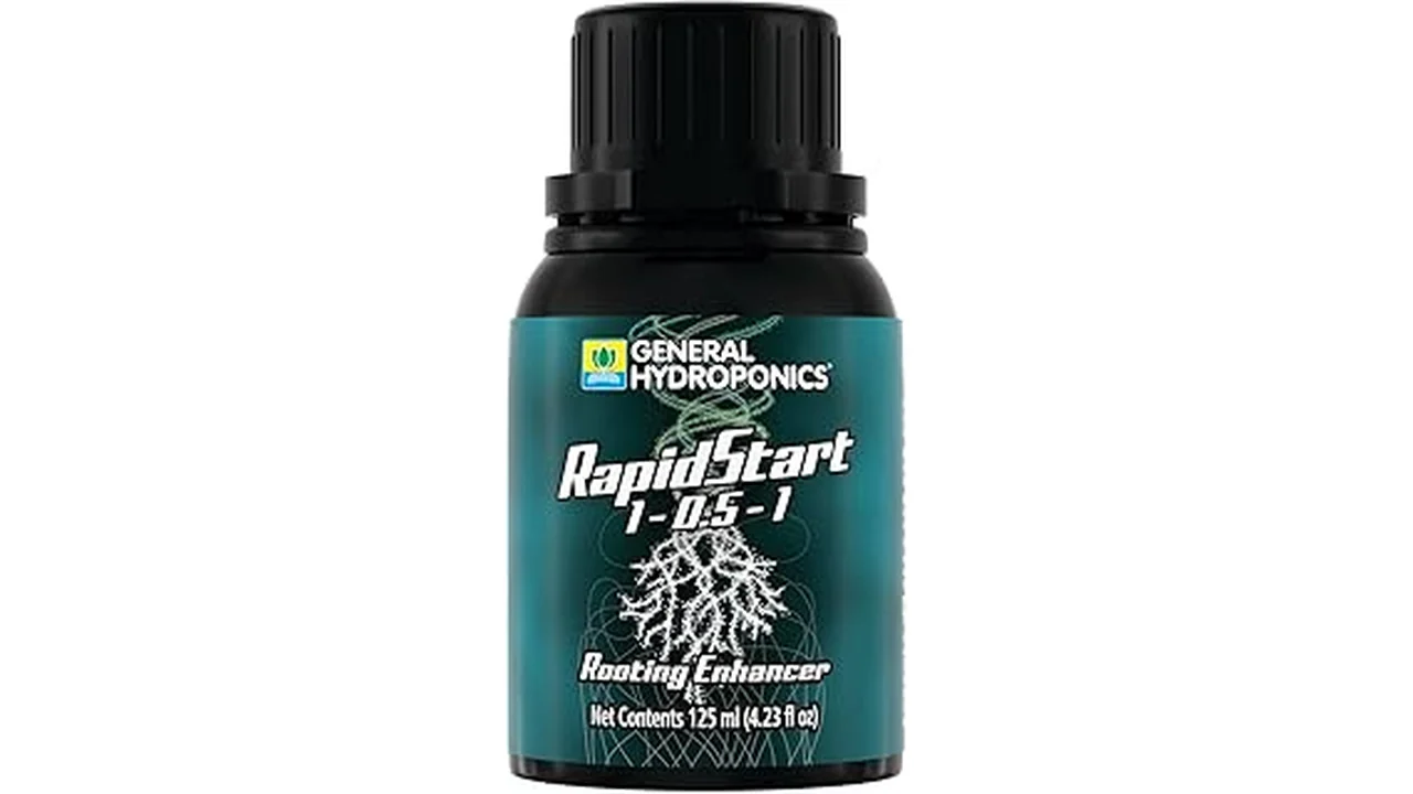 The image shows healthy plant roots, showcasing the benefits of top commercial biostimulants for root development.