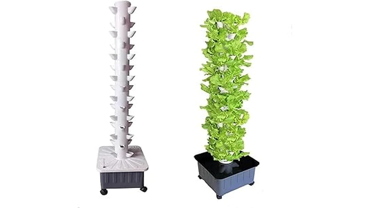 Top 5 Best Crops for Aquaponics Hydroponics Utah 22 The image shows vibrant green leafy plants growing in an aquaponics system, featuring top Utah crops.