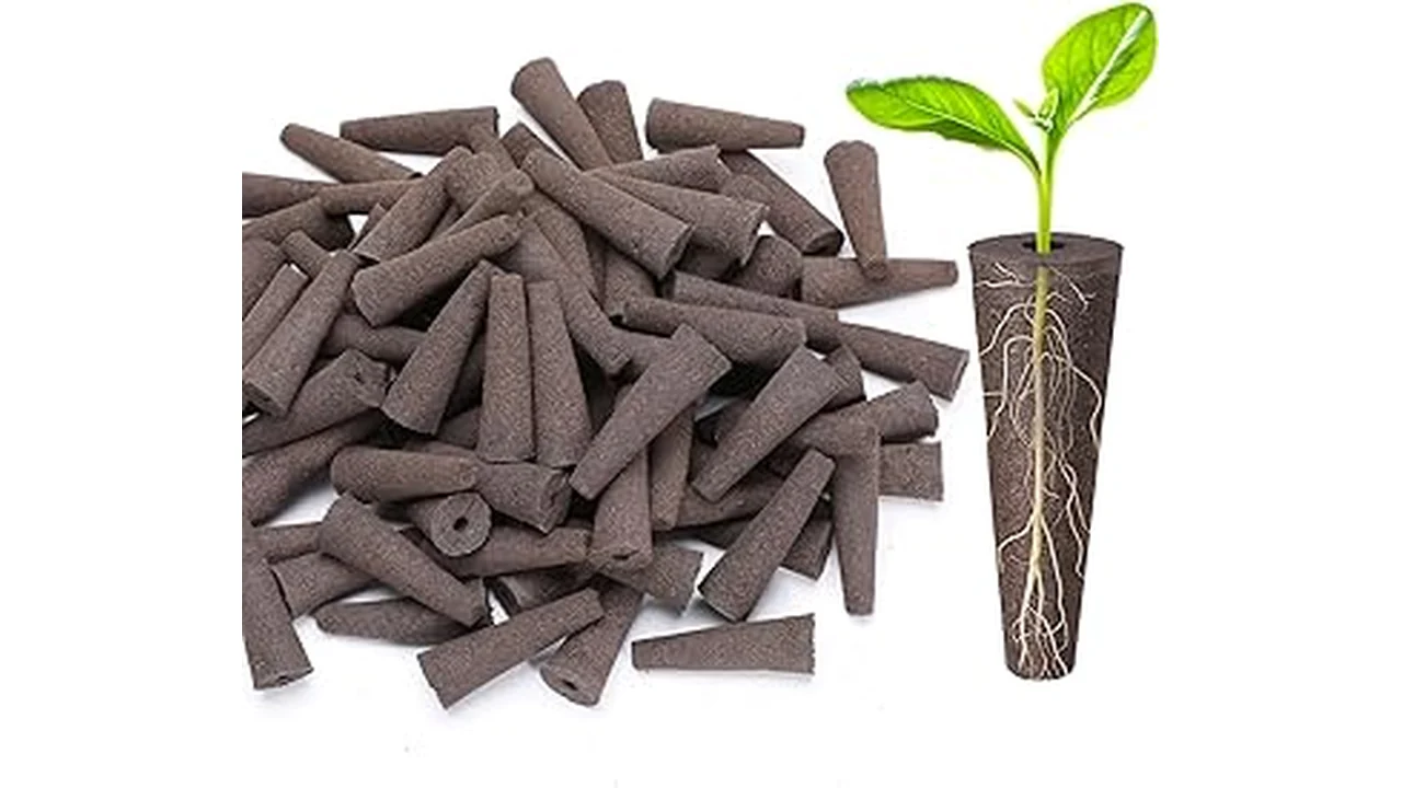 The image shows a thriving aquaponics system with lush, drought-tolerant crops, perfect for efficient growing.