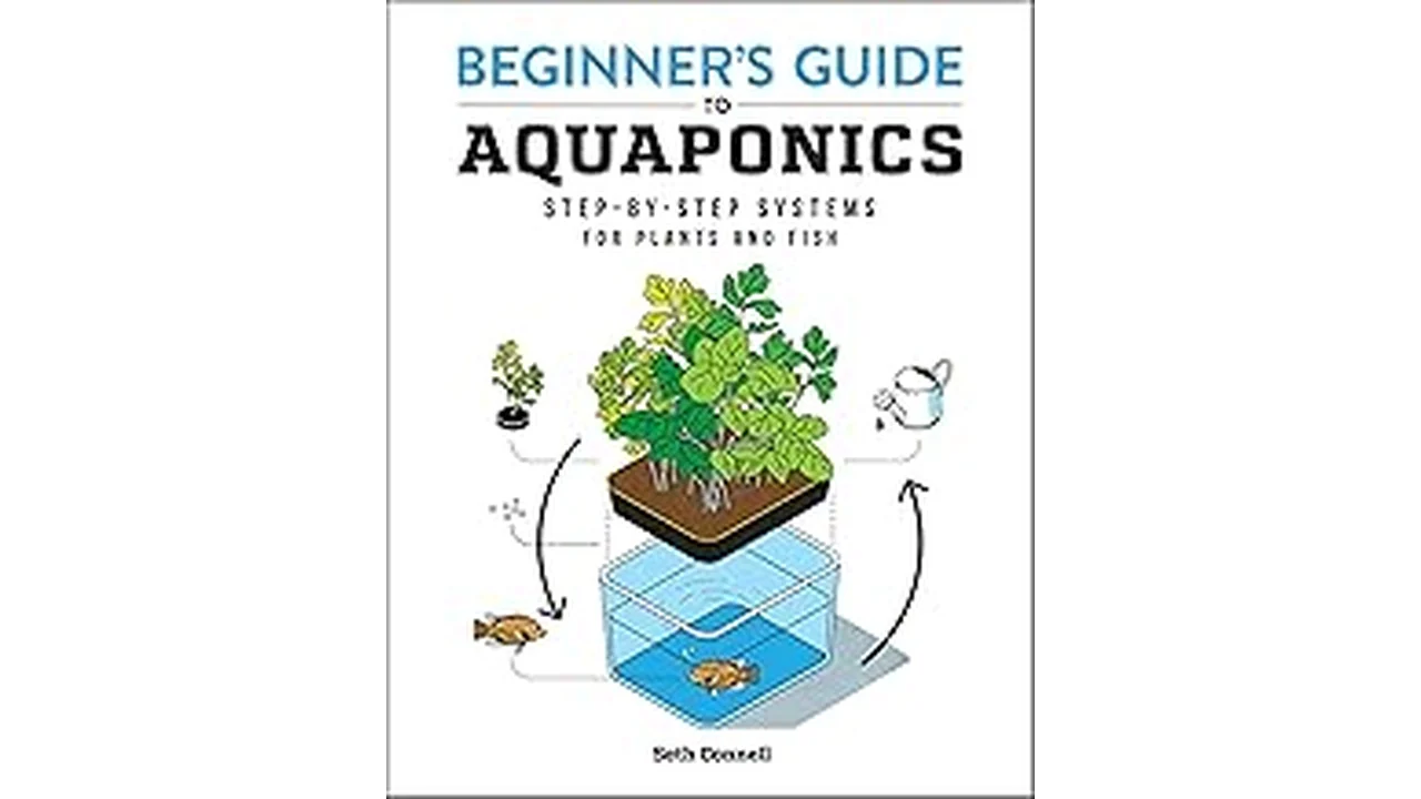 Top 5 Best Crops for Aquaponics Hydroponics Arid Climates Ut
