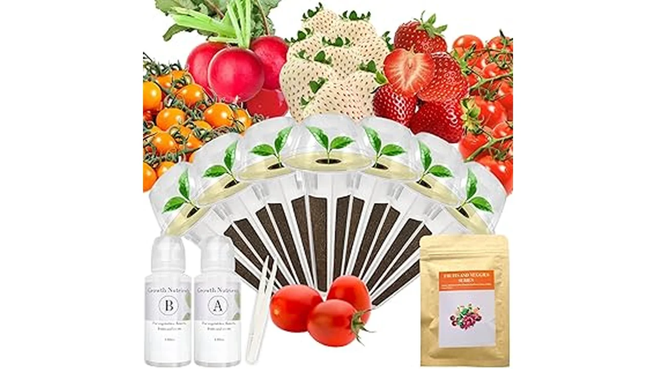 Top 5 Best Everbearing Strawberries for Hydroponics