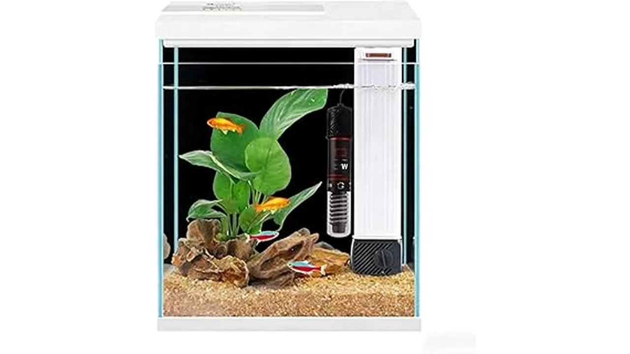 The image shows a vibrant tank with several healthy fish, suitable for hydroponics systems.