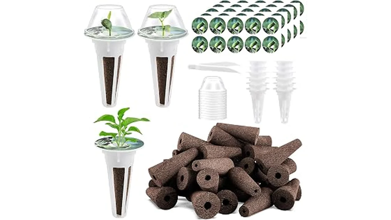 Top 5 Best Flower Seeds for Hydroponics 7 The image shows vibrant flower seedlings growing in a hydroponic system, perfect for the Top 5 Best Flower Seeds.