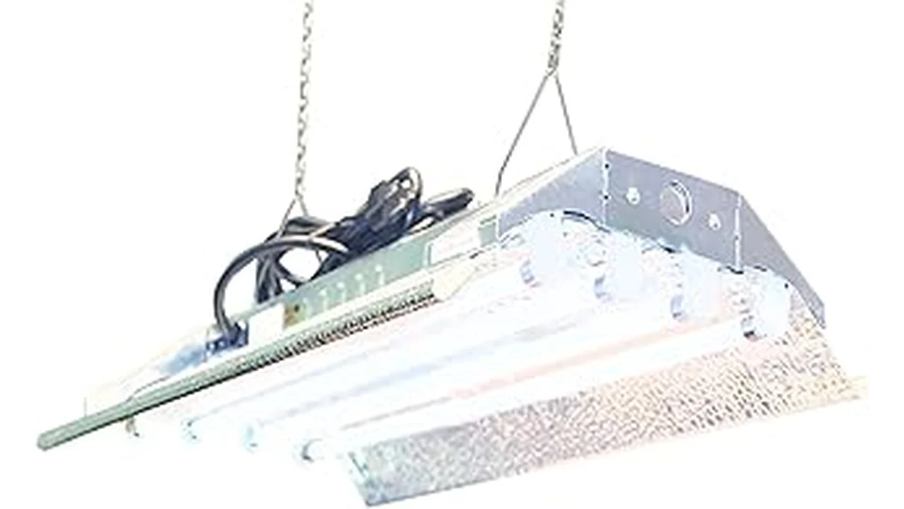 This image shows a vibrant hydroponic setup illuminated by a selection of fluorescent lights.