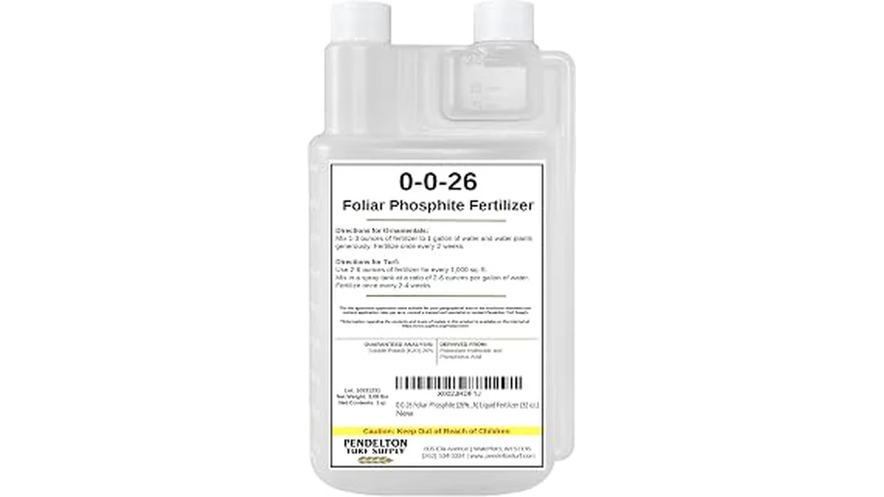The image shows various liquid phosphorus supplements, essential for hydroponics, highlighting top choices.