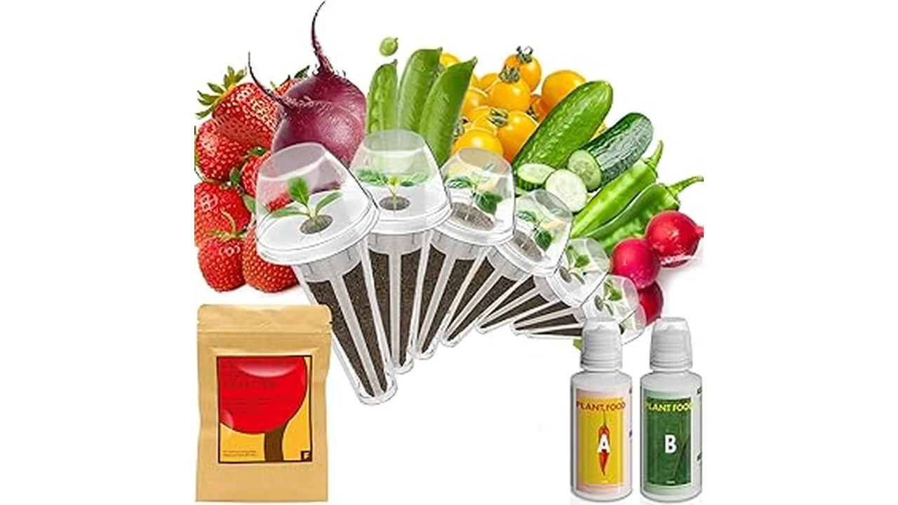 Top 5 Best Fruits and Vegetables for Hydroponics California