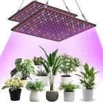 The image shows powerful full spectrum LED grow lights illuminating a thriving hydroponic plant setup.
