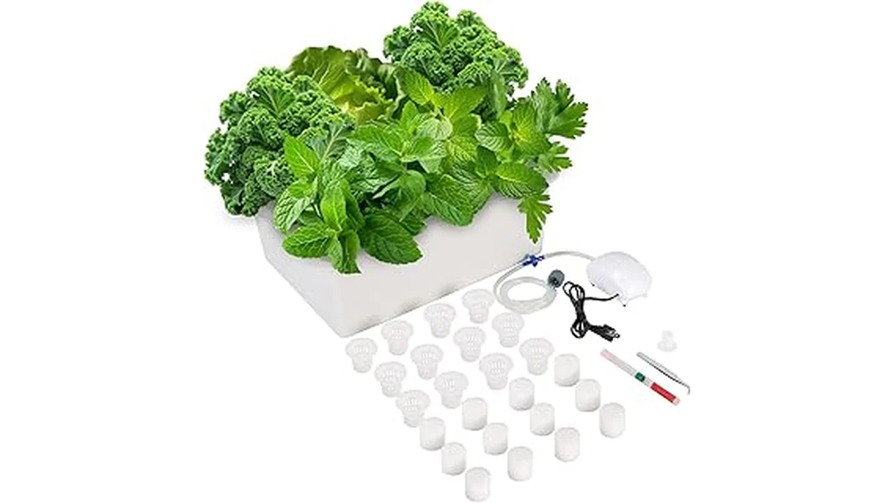 Top 5 Best Grow Box for Hydroponics 8 The image shows a compact hydroponic grow box, ideal for indoor plant cultivation.