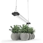 The image shows a setup for hydroponic growing with powerful grow lights, possibly related to the Top 5 Best Grow Lights for Hydroponics Reddit list.