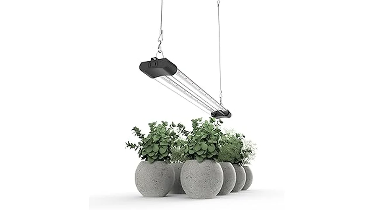 The image shows a setup for hydroponic growing with powerful grow lights, possibly related to the Top 5 Best Grow Lights for Hydroponics Reddit list.