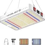 The image shows vibrant hydroponic plants thriving under top-rated grow lights featured in the blog post.
