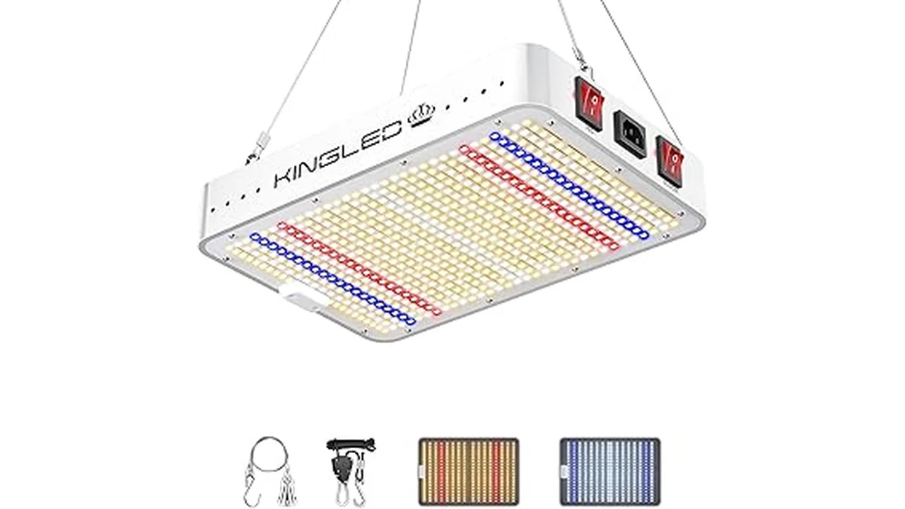 The image shows vibrant hydroponic plants thriving under top-rated grow lights featured in the blog post.