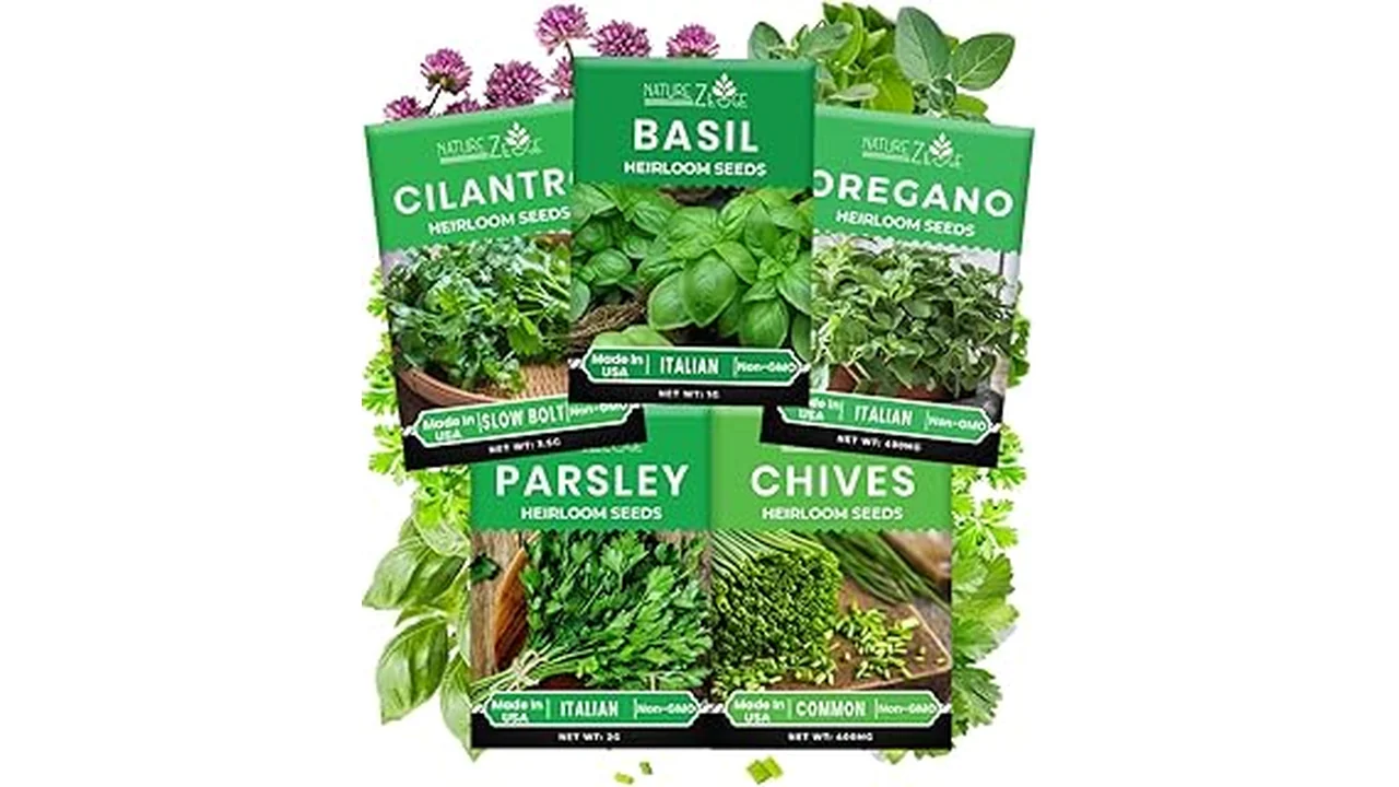 The image shows a selection of fresh herb seedlings growing in a hydroponic system.