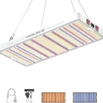 The image shows a vibrant hydroponics setup, possibly for a Top 5 Best Hydroponics Supply Las Vegas feature.